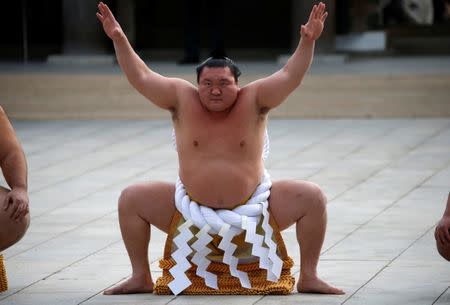 Mongolian-born grand sumo champion Yokozuna Hakuho performs the New Year's ring-entering rite at the annual celebration for the New Year at Meiji Shrine in Tokyo, Japan January 6, 2017. REUTERS/Issei Kato