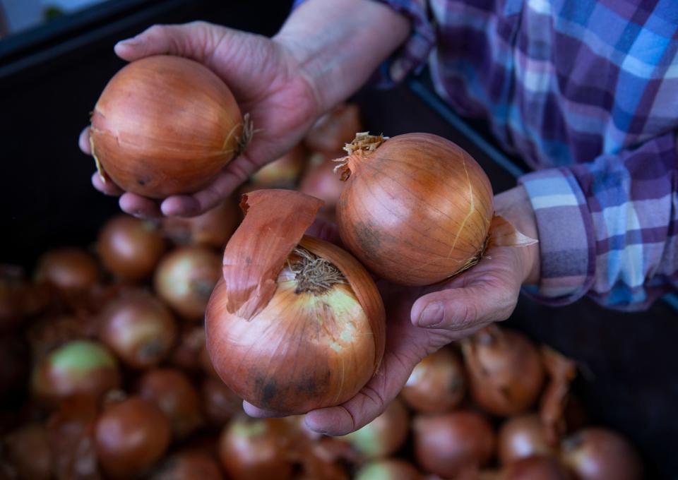 Gift baskets include onions, a turkey, stuffing, potatoes and a pumpkin pie among other items.