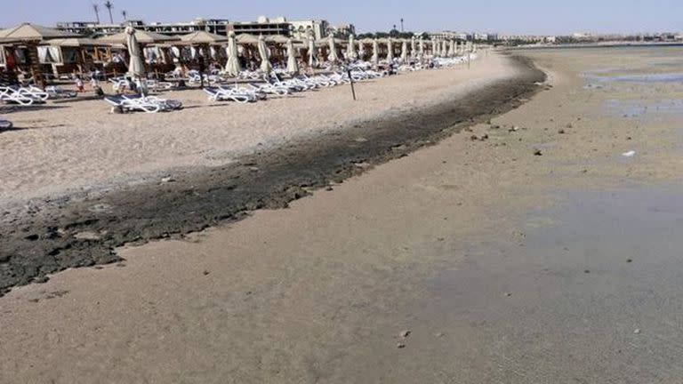 Las autoridades egipcias han cerrado varias playas sobre las costas del Mar Rojo luego de que dos turistas murieron en ataques de tiburones.