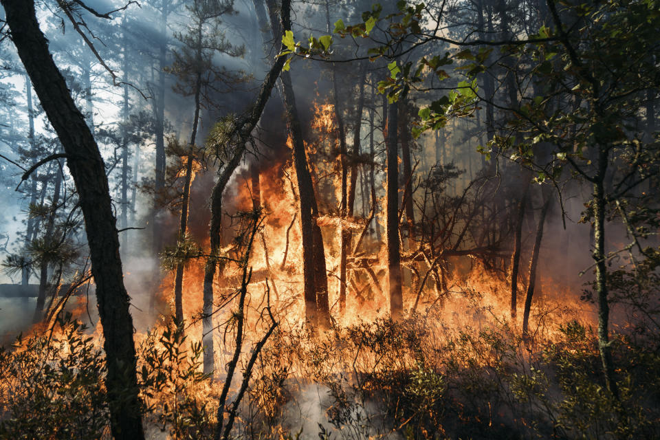 This Friday, July 5, 2024 image provided by the New Jersey Department of Environmental Protection shows a forest fire in Tabernacle, N.J. The fire had burned 4,000 acres and was 75% contained as of Monday July 8. (New Jersey Department of Environmental Protection via AP)