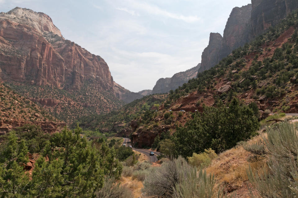 Zion National Park. (Mikayla Whitmore / for NBC News)