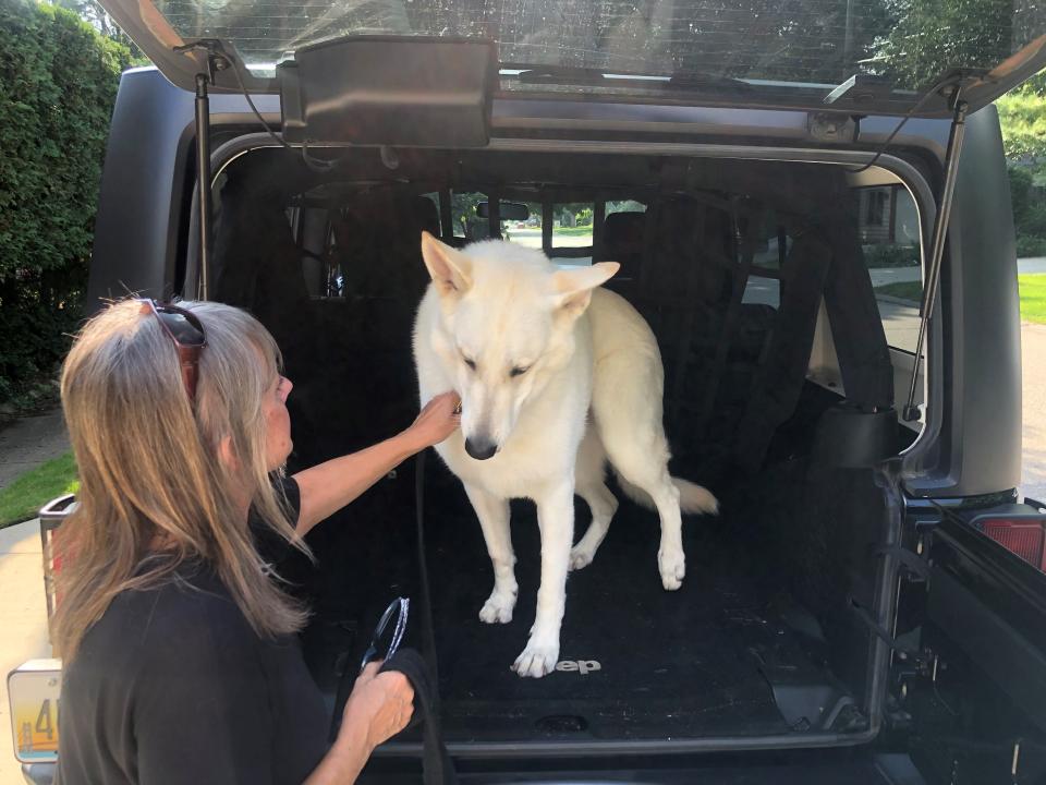 Melody Bond of Livonia and her 100-lb. German Shepherd, Jasper, get into her Jeep Wrangler. Bond traded her Chevy Camaro for the Wrangler when Jasper grew too big to fit in the Camaro.