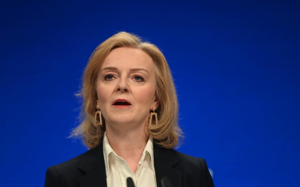 Liz Truss, the Foreign Secretary, has emphasised the importance of Britain's links to Israel - Paul Grover