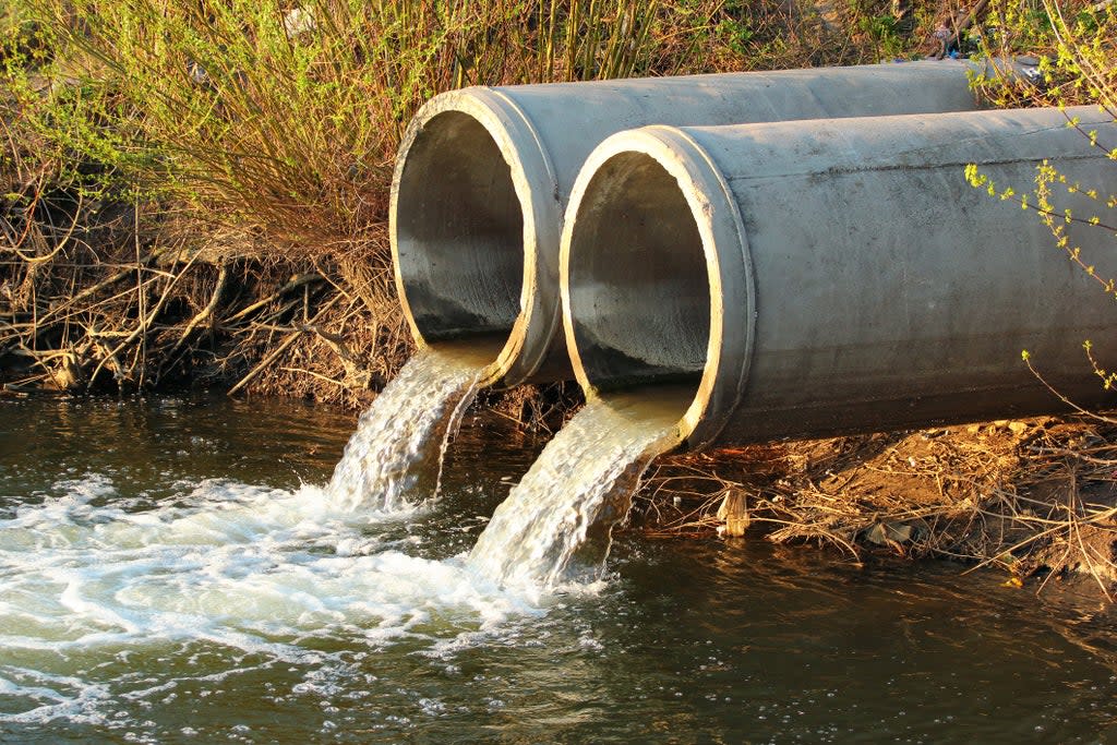 Brexit has disrupted imports of water treatment chemicals (Getty Images/iStockphoto)