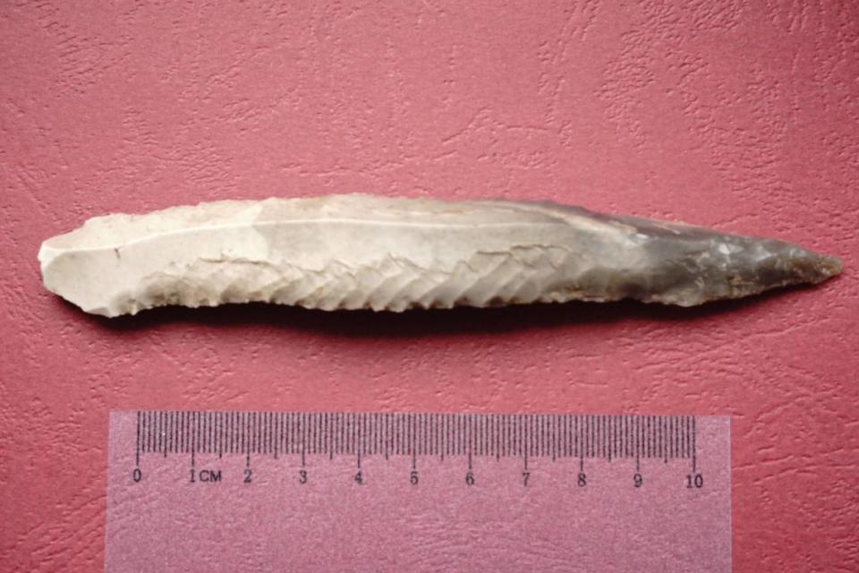 The 5,600-year-old dagger found in Drażgów.