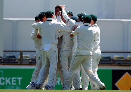 Cricket - Australia v South Africa - First Test cricket match - WACA Ground, Perth, Australia - 3/11/16 - Australia's Mitchell Starc celebrates with team mates after dismissing South Africa's Stephen Cook at the WACA Ground in Perth. REUTERS/David Gray