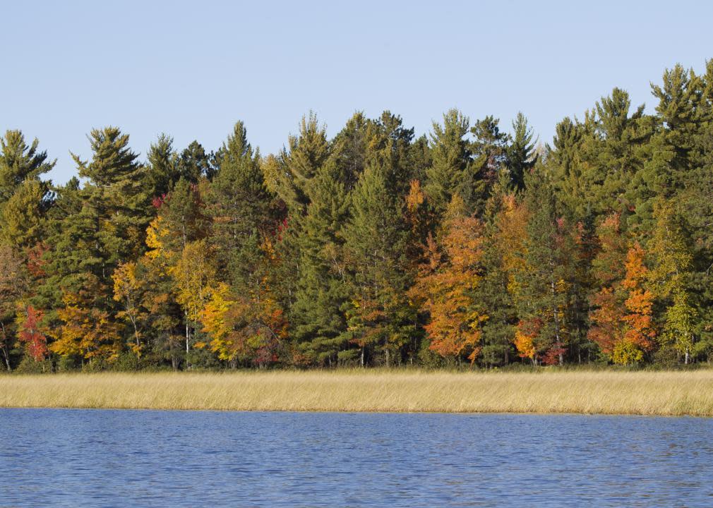 Fall Scene on the Wisconsin River.