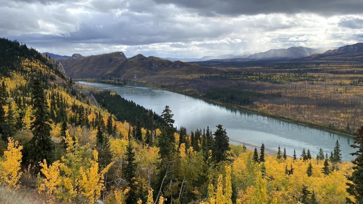 The view of the Yukon river from Little Salmon Carmacks First Nation. The Yukon government is writing a Public Lands Act and is holding public discussions on it. (Pauline Holdsworth/CBC - image credit)