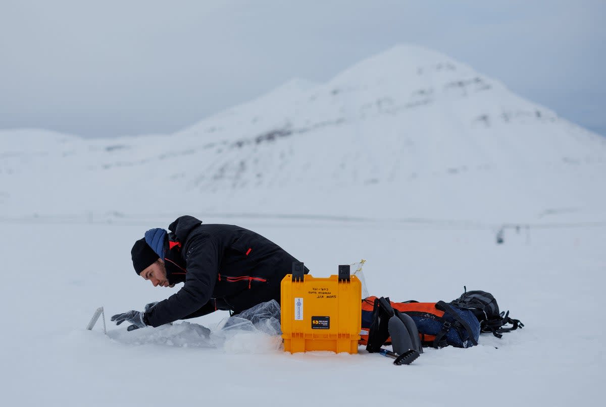 Paul Scherrer Institute Switzerland chemist Francois Burgay, 34, prepares to take a snow sample to detect molecules connected to algal bloom in Ny-Alesund, Svalbard, Norway (Reuters)