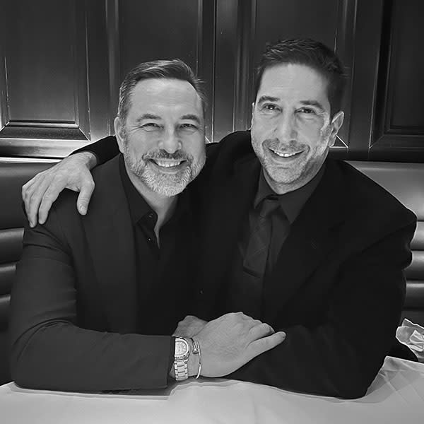 david-walliams-david-schwimmer-dinner