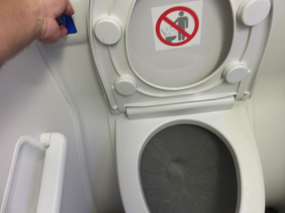 4. Lavatory flush button