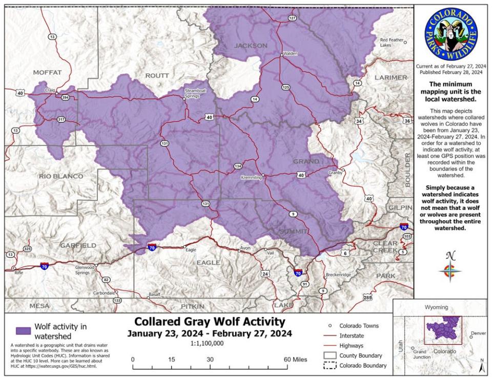 Colorado's collared gray wolf activity map for Jan. 23-Feb. 27, 2024.