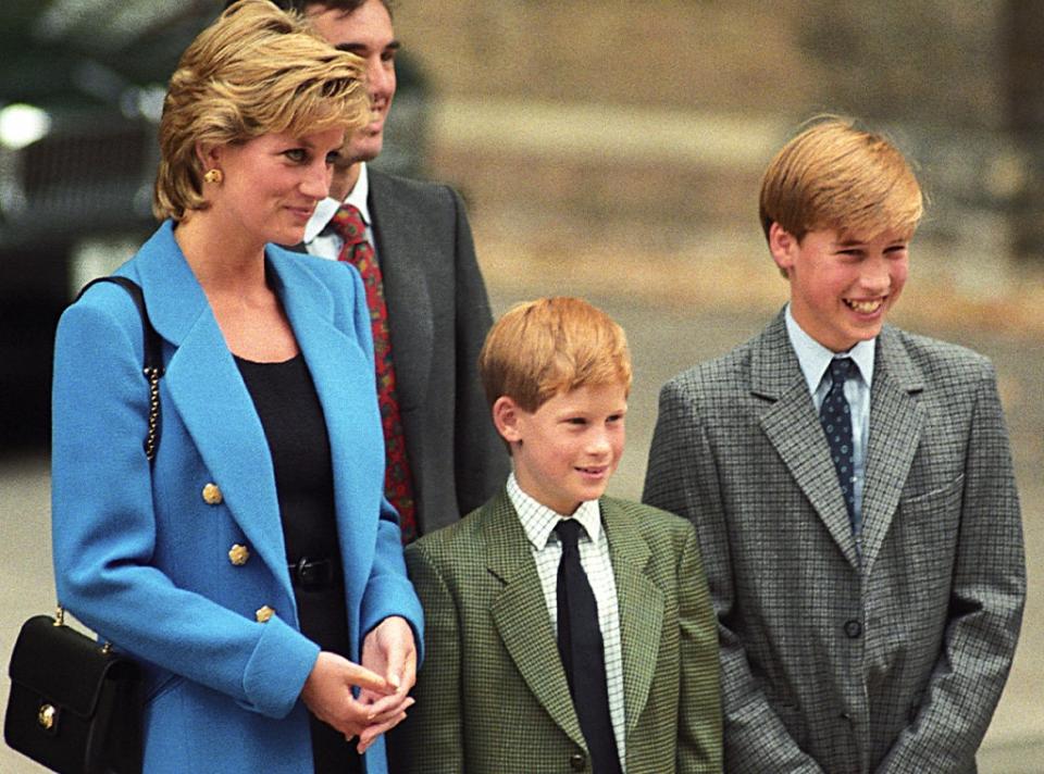 Prince William, Prince Harry, Princess Diana