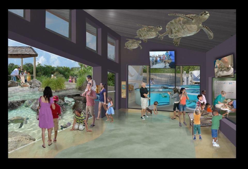 This drawing shows what the sea turtle rehabilitation area would look like at the Brevard Zoo's planned aquarium and conservation campus at Port Canaveral.