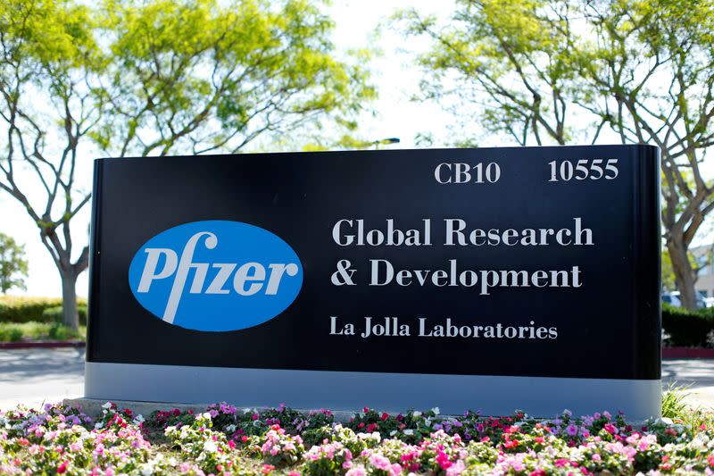 FILE PHOTO: The logo of Dow Jones Industrial Average stock market index listed company Pfizer is pictured here in La Jolla, California