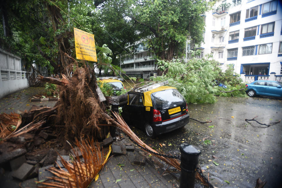 A view of a tree fell on vehicles due to strong winds triggered by Cyclone Nisarga in Mumbai, India on June 03, 2020. A storm in the Arabian Sea off India's west coast intensified into a severe cyclone on Wednesday, gathering speed as it barreled toward India's financial capital of Mumbai. Nisarga was forecast to drop heavy rains and winds gusting up to 120 kilometers (75 miles) per hour when it makes landfall Wednesday afternoon as a category 4 cyclone near the coastal city of Alibagh, about 98 kilometers (60 miles) south of Mumbai, India's Meteorological Department said. (Photo by Imtiyaz Shaikh/Anadolu Agency via Getty Images)