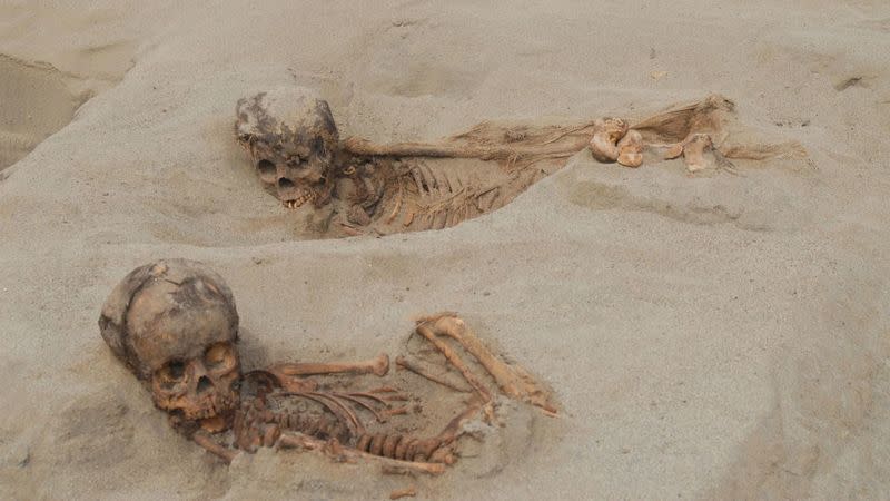 Two skeletons at the site (John Verano)