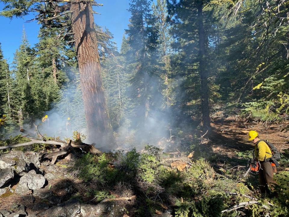 U.S. Forest Service firefighters battle a small fire in the Lassen National Forest on Thursday, June 8, 2023. Lightning started at least 11 small blazes this week on national forest lands.