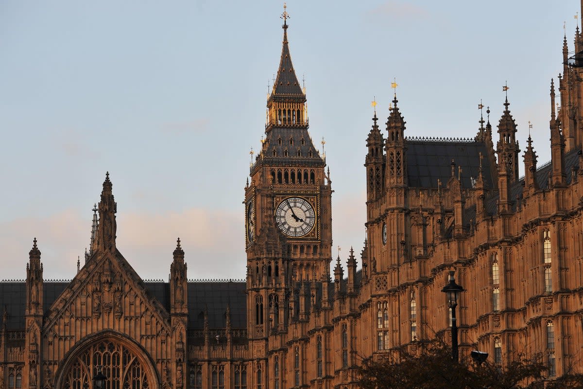 The Palace of Westminster (Nick Ansell/PA) (PA Archive)