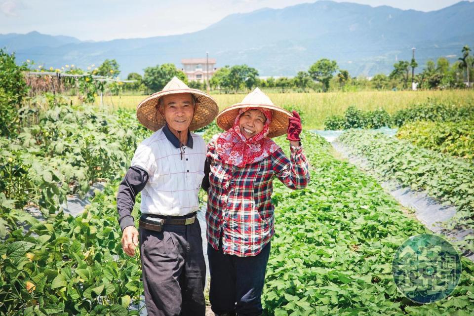 坤漳伯夫妻一如往常快樂地下田勞動。坤漳伯快80歲了，說自己健檢完全沒紅字。