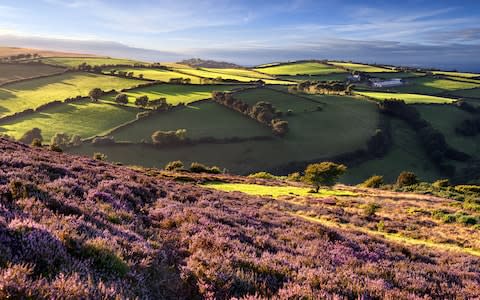 Exmoor - Credit: Getty