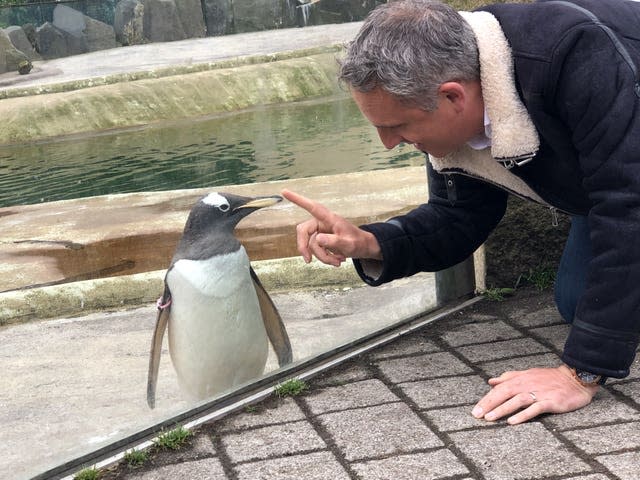 Scottish Lib Dem leader Alex Cole-Hamilton chills with penguins at Edinburgh Zoo