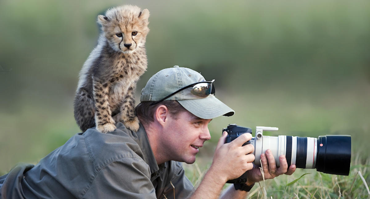 Photographers harassed by their animal subjects