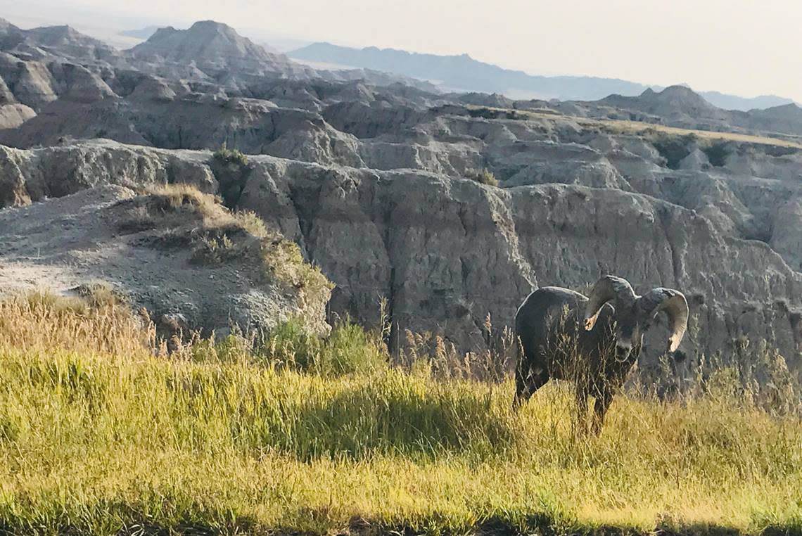 One of America’s most unique spots - Badlands National Park in South Dakota.