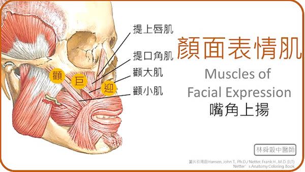 失智老人進食困難　中醫能幫助改善嗎？