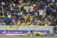 Fans in the stands watch the Texas Super Kings and Los Angeles Knight Riders compete in a Major League Cricket match in Grand Prairie, Texas, Thursday, July 13, 2023. Major League Cricket is the newest T20 league in the world and Americans the latest audience to get a taste. (AP Photo/LM Otero)