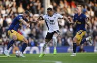 Premier League - Fulham v Newcastle United