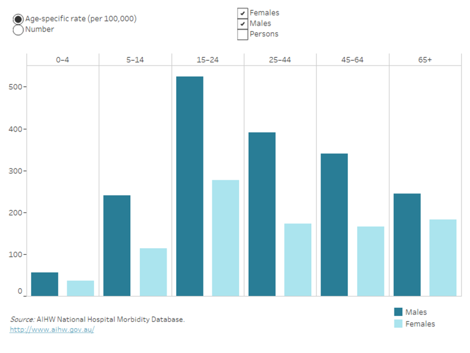 Bar chart showing rates of transport-related hospitalisation by age group and sex