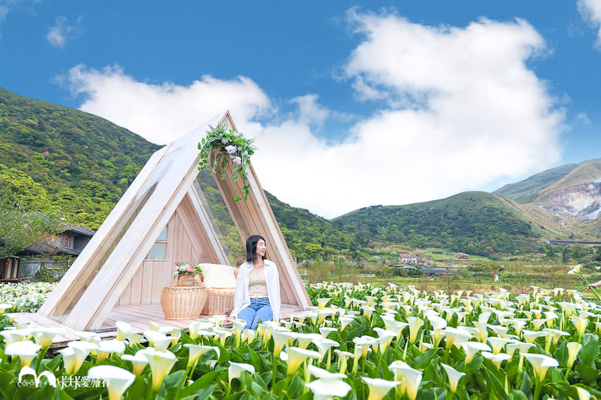 陽明山竹子湖一日遊