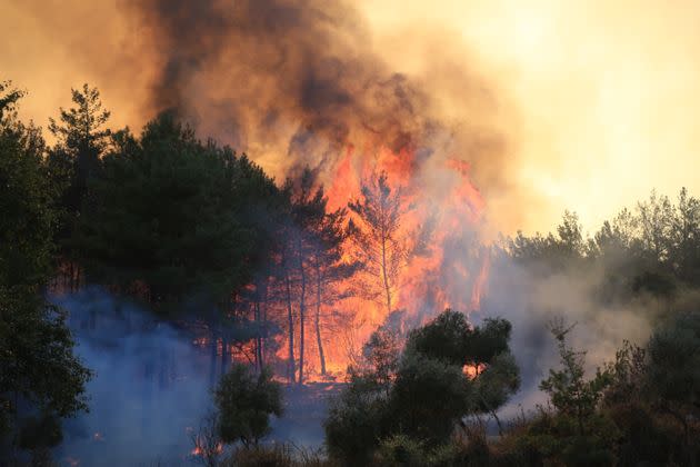 A forest fire in Mulga, Turkey, this week (Photo: Anadolu Agency via Getty Images)