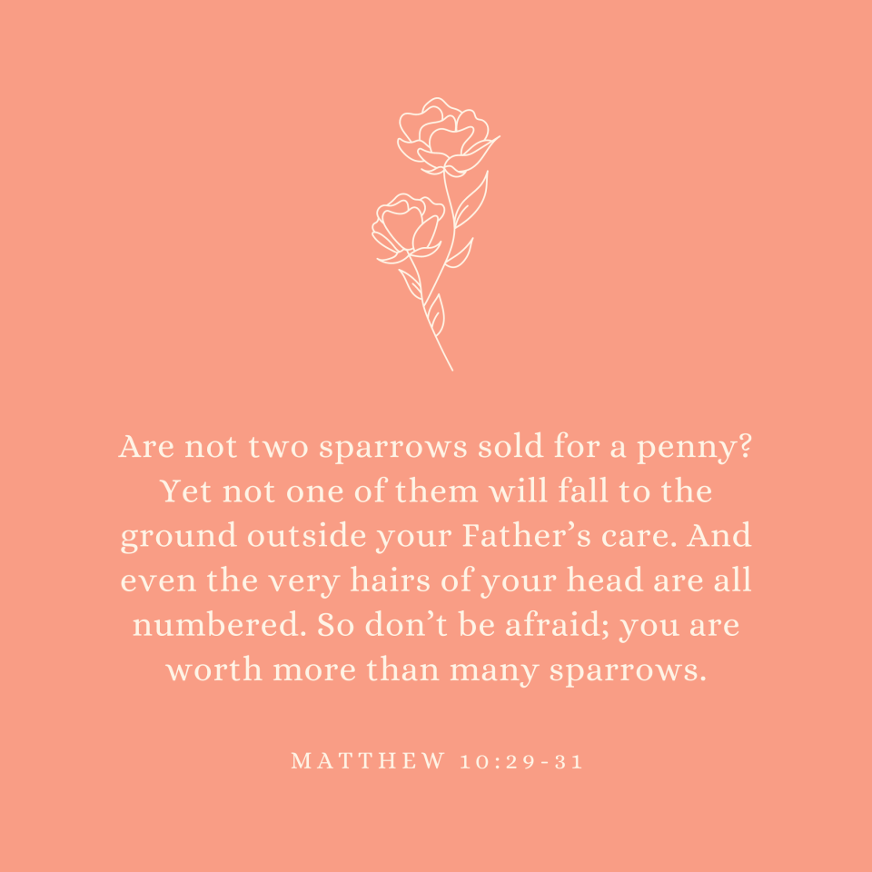 Matthew 10:29-31 Are not two sparrows sold for a penny? Yet not one of them will fall to the ground outside your Father’s care. And even the very hairs of your head are all numbered. So don’t be afraid; you are worth more than many sparrows.