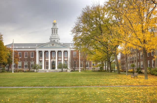 DenisTangneyJr / Getty Images Harvard University