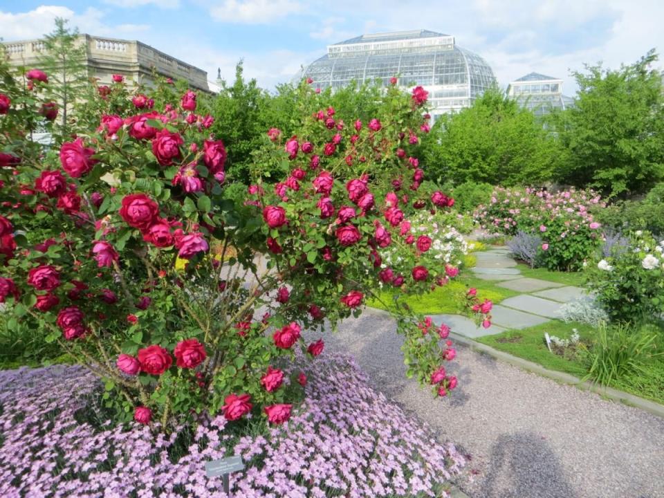 united states botanic garden dc