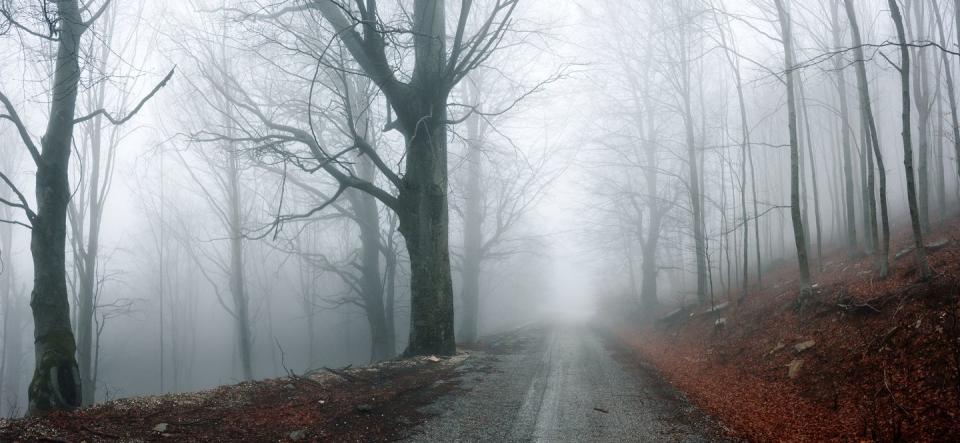 spooky urban legends   path through the forest