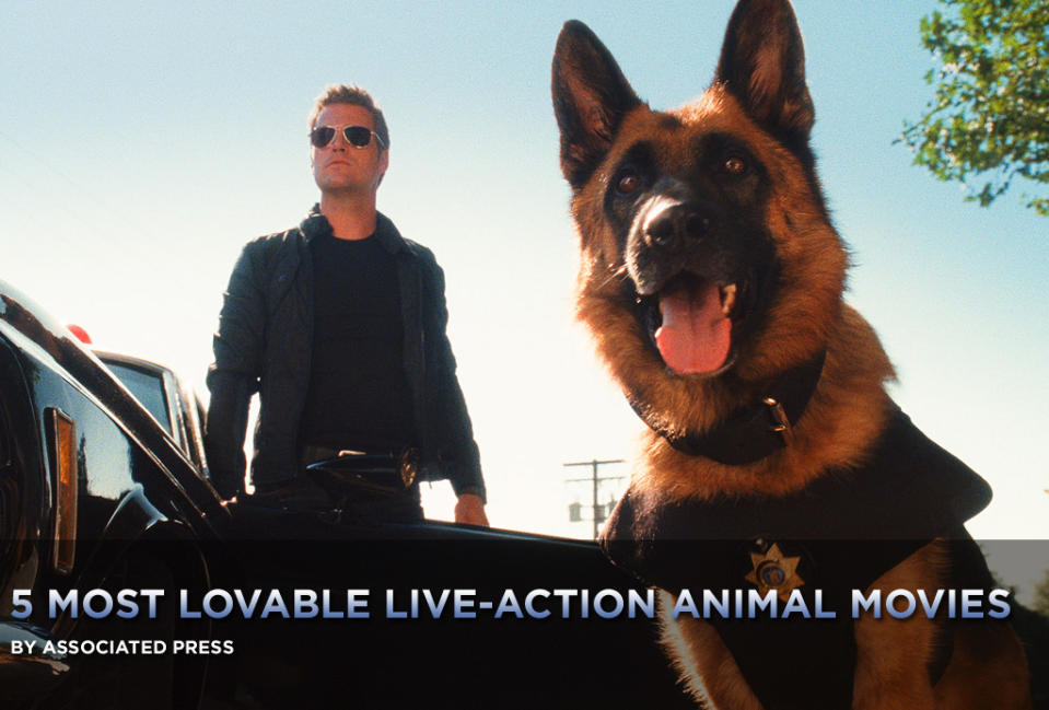 5 Most Lovable Live Action Animal Movies Title Card