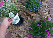 <body> <p>When summer annuals fade and fall flowers bloom, you may want to switch out your landscaping plants. Do the job without getting your hands dirty with this little secret: Set plastic <a rel="nofollow noopener" href=" http://www.bobvila.com/slideshow/10-totally-unexpected-things-to-remake-as-planters-48688?bv=yahoo" target="_blank" data-ylk="slk:plant pots;elm:context_link;itc:0;sec:content-canvas" class="link ">plant pots</a> into slightly larger pots sunken into the ground. When you want to make a swap, simply remove last season's plantings and drop in the new. </p> <p><strong>Related: <a rel="nofollow noopener" href=" http://www.bobvila.com/slideshow/14-totally-free-ways-to-grow-a-garden-from-scratch-50033?bv=yahoo" target="_blank" data-ylk="slk:14 Totally Free Ways to Grow a Garden from Scratch;elm:context_link;itc:0;sec:content-canvas" class="link ">14 Totally Free Ways to Grow a Garden from Scratch</a> </strong> </p> </body>