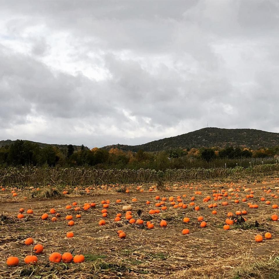 10) Fishkill Farms in Hopewell Junction, NY