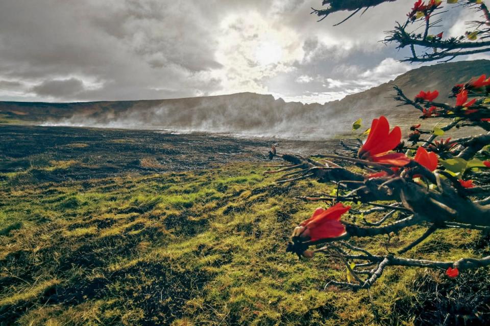 The Rapa Nui National Park in Easter Island (Rapanui Municipality/AFP via Get)