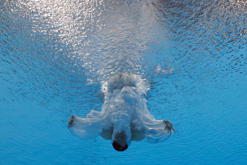 Diving - Men's 3m Springboard - Semifinal