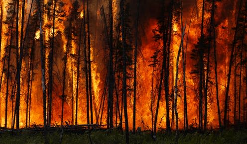 <span class="caption">A forest in Canada burns during the country's 2014 wildfires.</span> <span class="attribution"><span class="source">Stefan Doerr</span>, <span class="license">Author provided</span></span>
