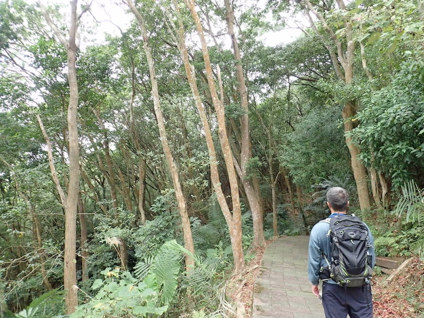 新竹十二寮登山步道