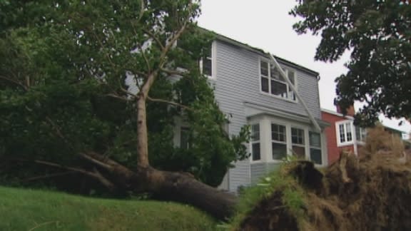 Scenes from Tropical Storm Leslie. High winds and rain caused damage in St, John's and area.