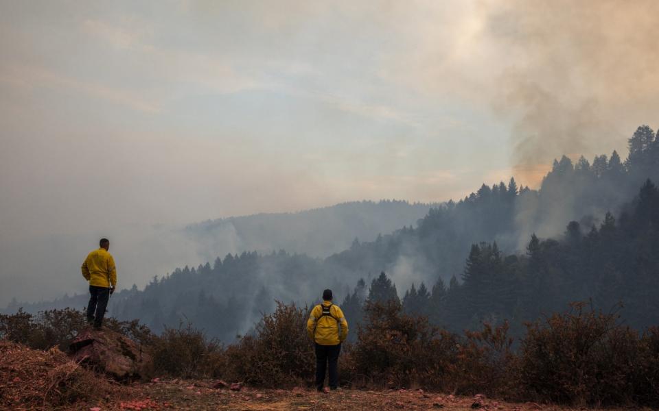 Firefighters watch for spot fires on Big Ridge, Sonoma County in Northern California - BLOOMBERG