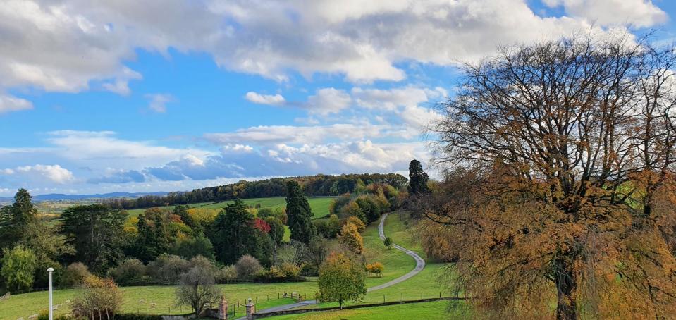 Views from Bredenbury Court