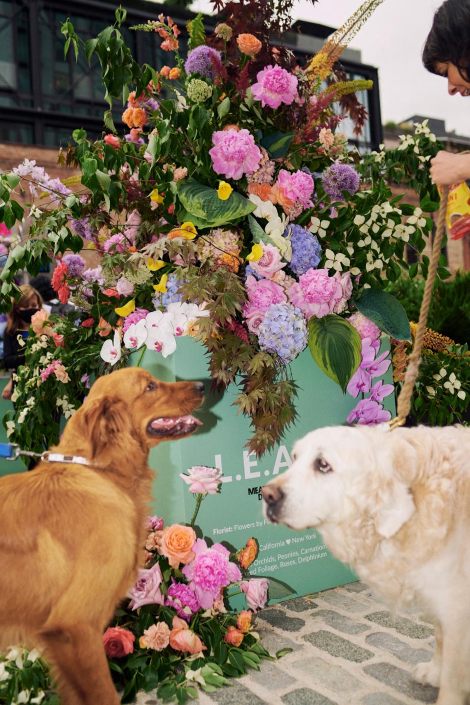 Dogs Dre and Houston in front of “California hearts New York,” an installation by Pigsty & Flowers by Ford.