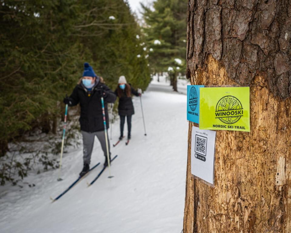 Cross country skiers ski through Gilbrook Nature Area in Winooski. The Catamount Trail Association will have two free ski days this winter, one being at the Gilbrook Nature Area.